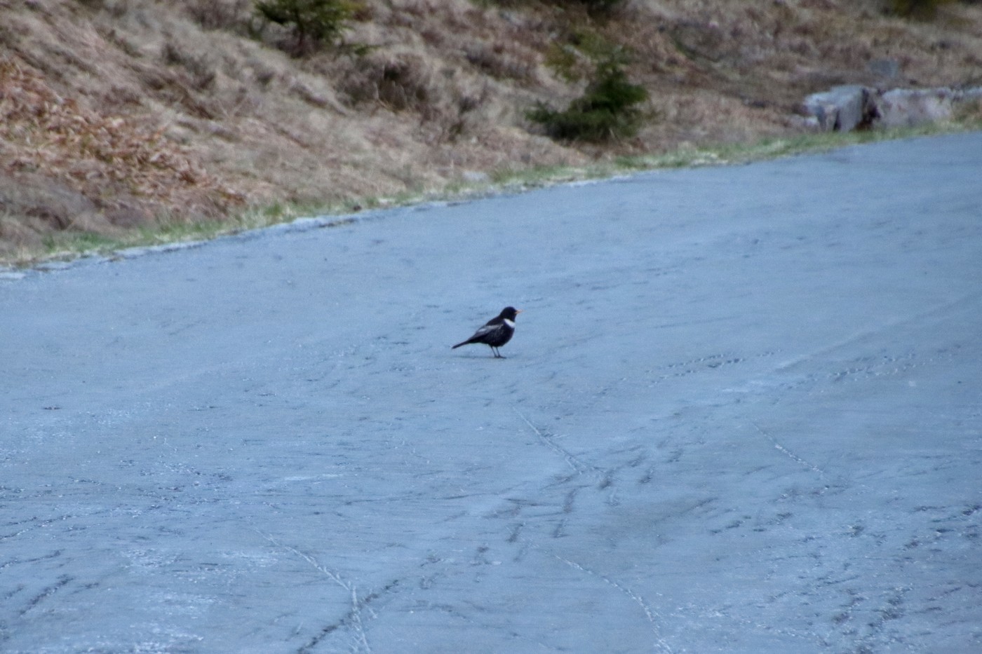 Image00011