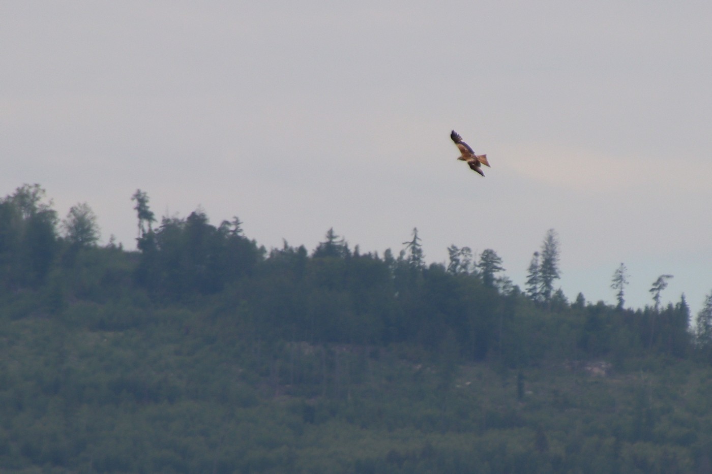 Image00015