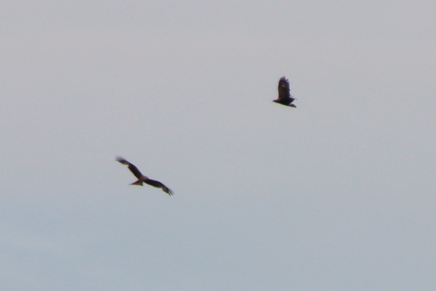 Image00017