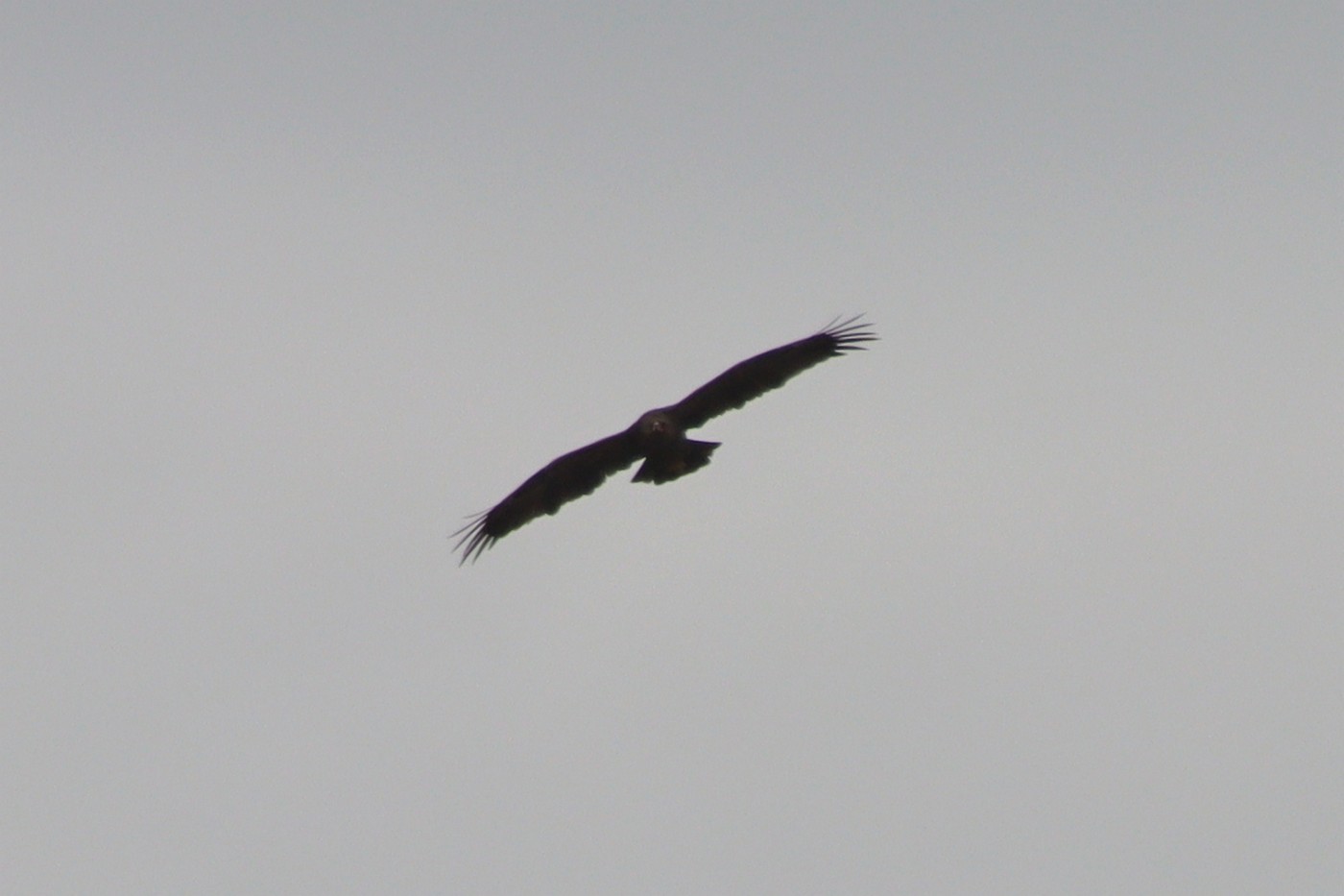 Image00019