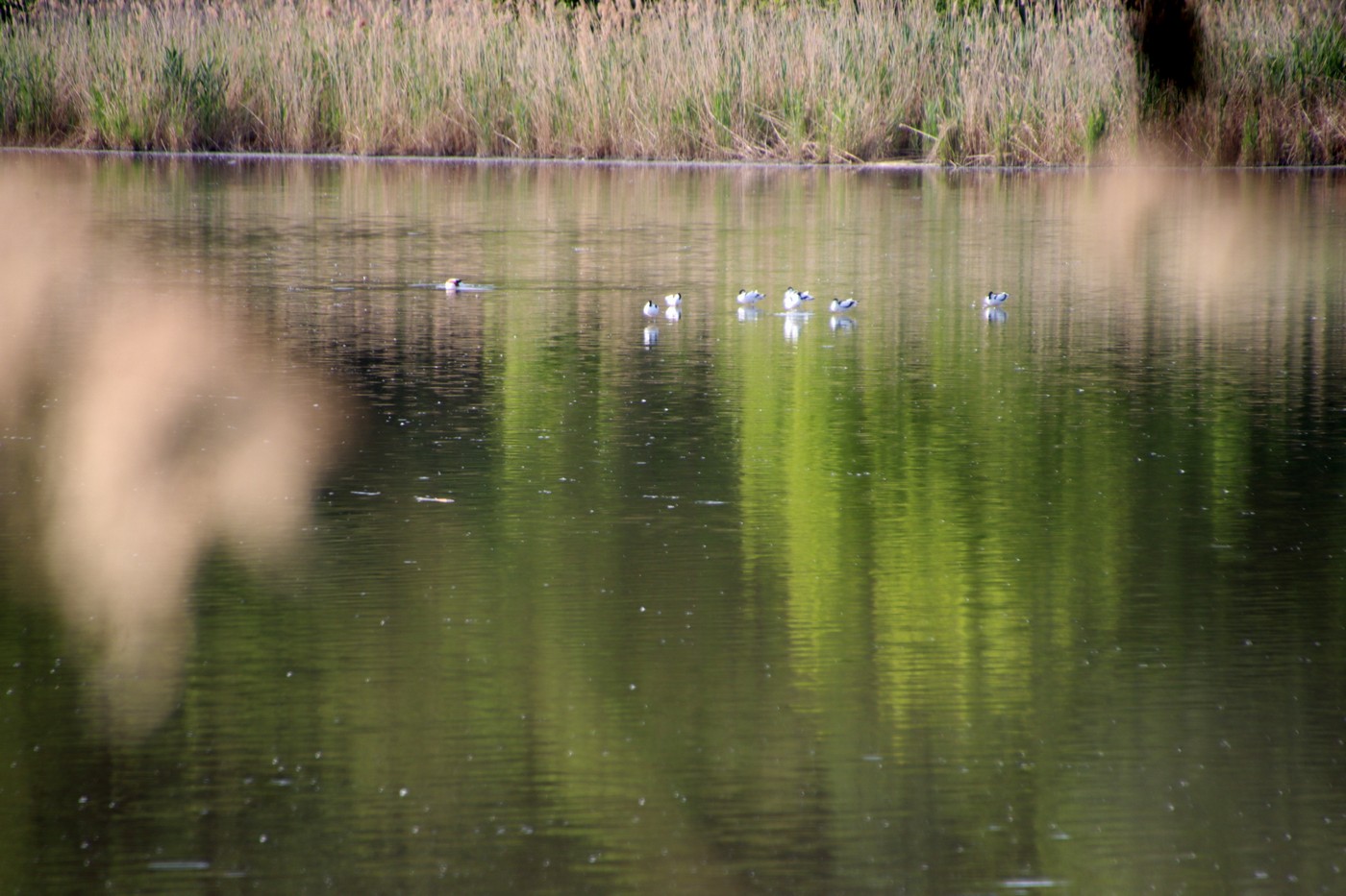 Image00022