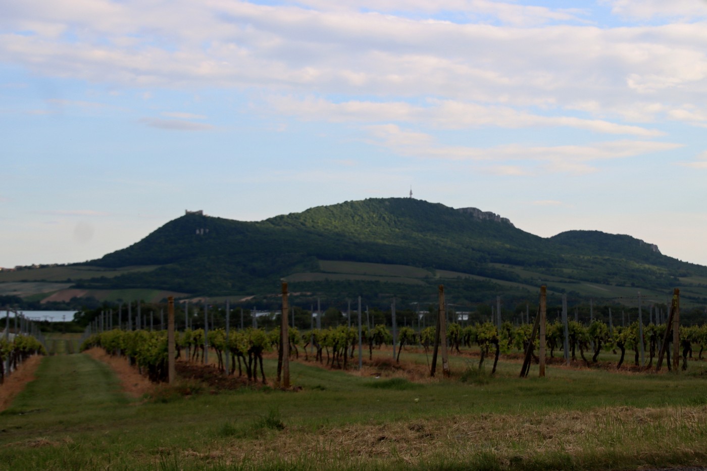 Image00023