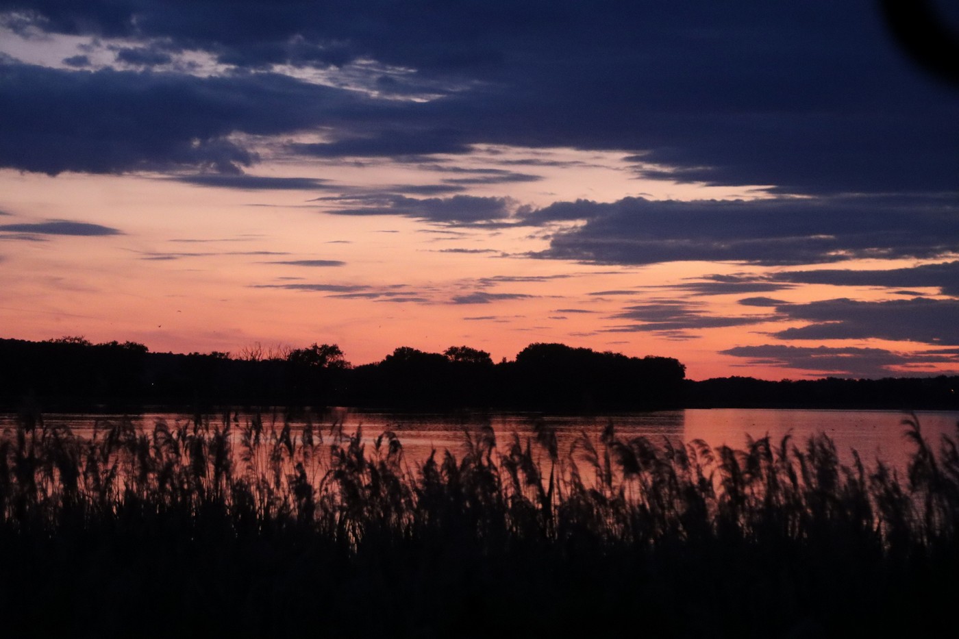 Image00027